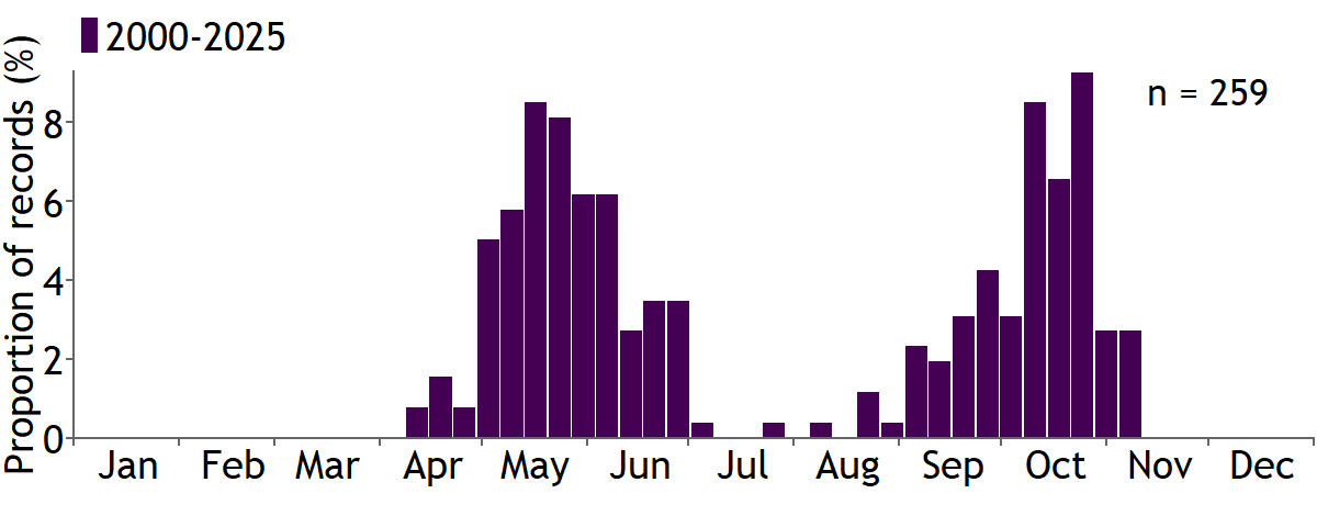 Moths
